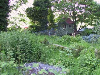 the site as a green buffer zone between Round Hill and Hollingdean Depot pictured in 2003