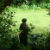 Thumbnail, click for a larger version