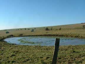 dew pond at Ditchling Beacon