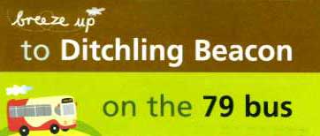 yyy